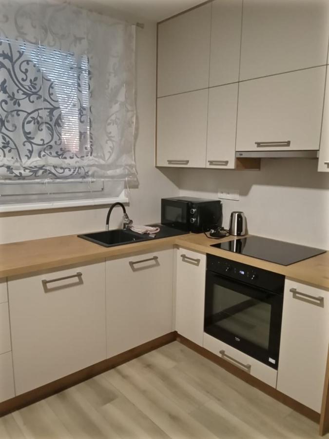 V Centru Lägenhet Lanžhot Exteriör bild